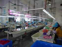 毛絨玩具廠家車(chē)縫線